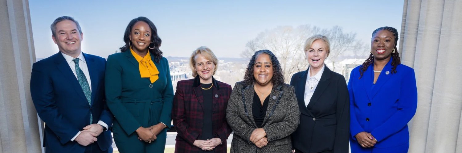TNSenateDems's profile banner image