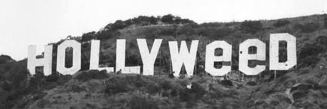 haleyjean427's profile banner image
