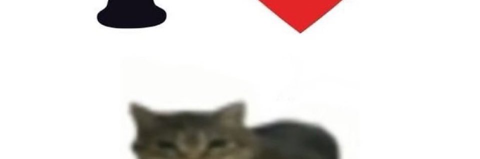 breadbeyva's profile banner image