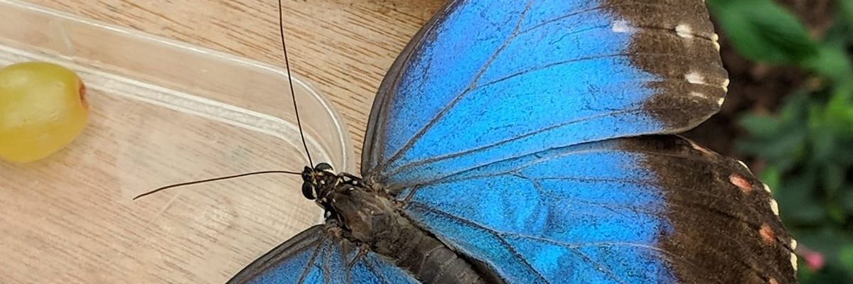 kimmiesjoy's profile banner image