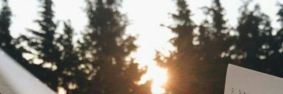 heda_stark's profile banner image