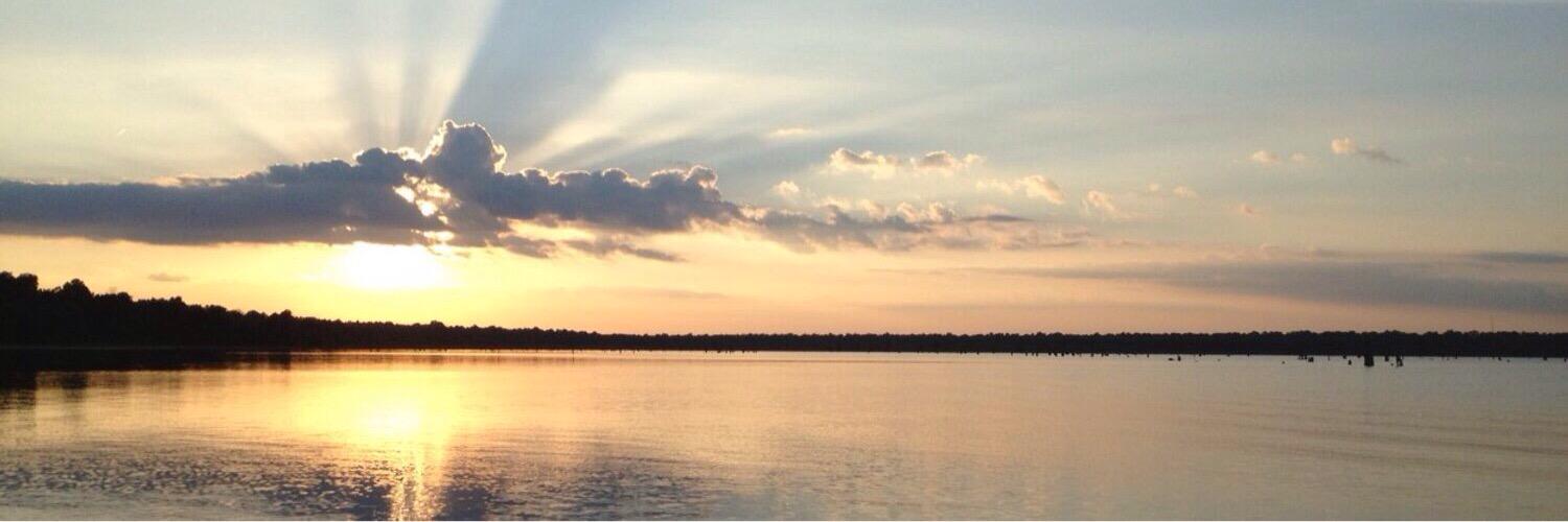 collie_rose's profile banner image
