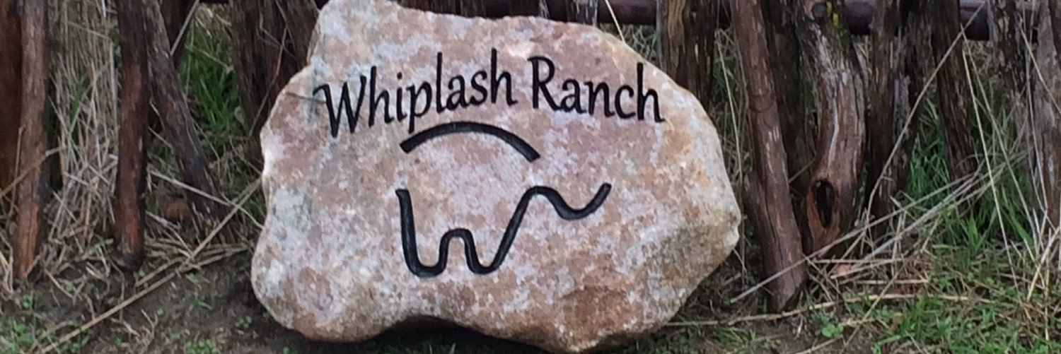 wesselranch's profile banner image