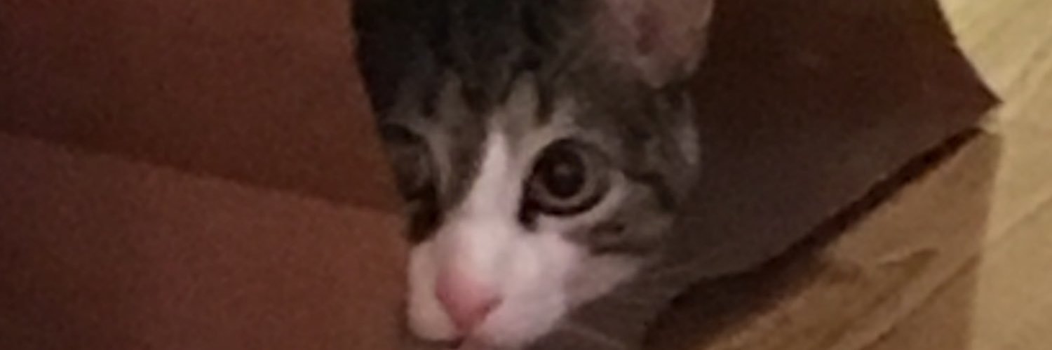 ReformedGothGir's profile banner image