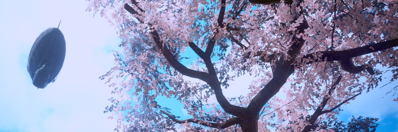 clarel_bd's profile banner image