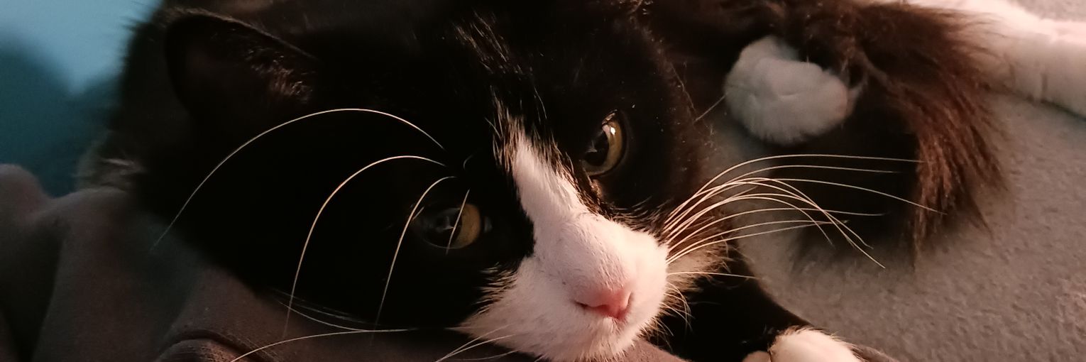 ThePacRAC's profile banner image