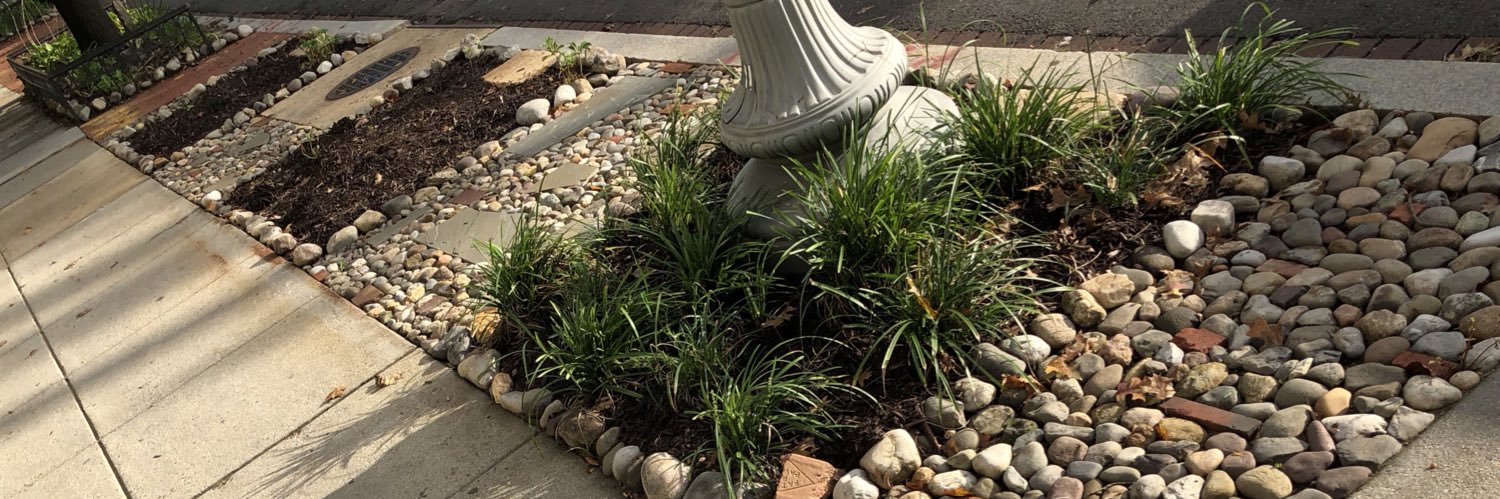 Jackson Carnes banner