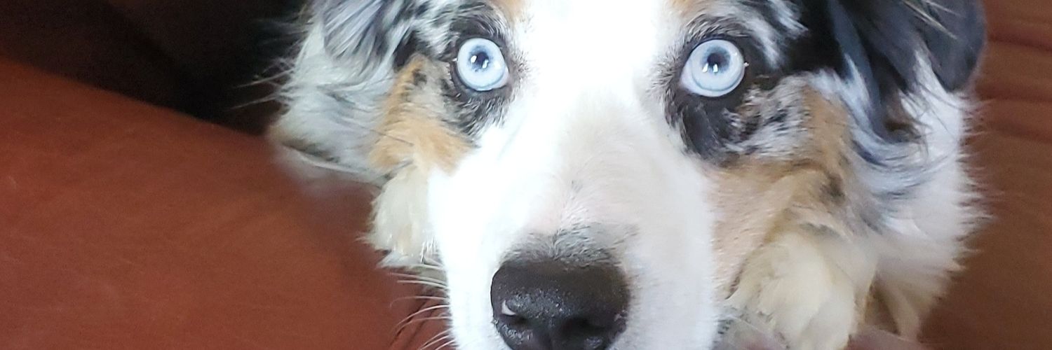 ATBlumer's profile banner image