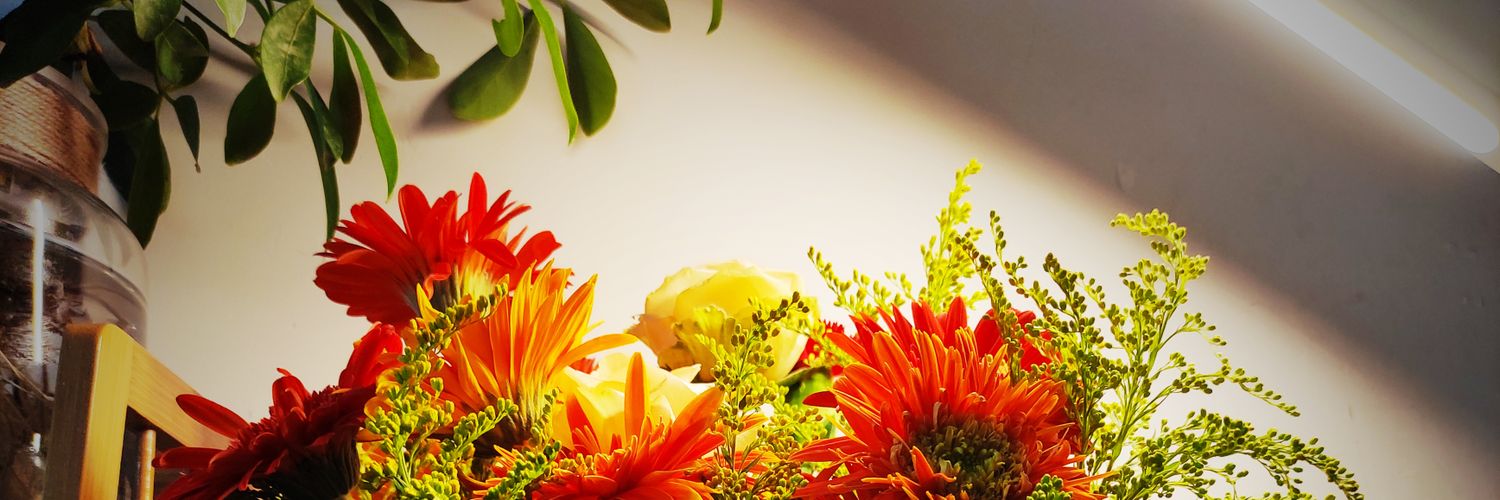 xiaolouwork's profile banner image