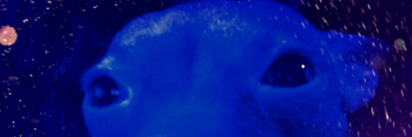 bad_anabelle's profile banner image