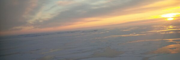 WAM_YEG Profile Banner