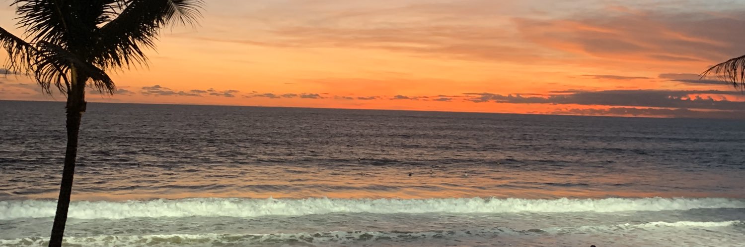 Zuev Alexander banner