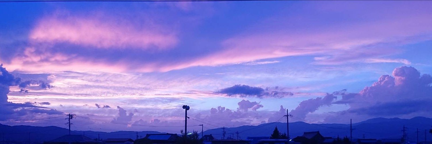 vanish_cat's profile banner image