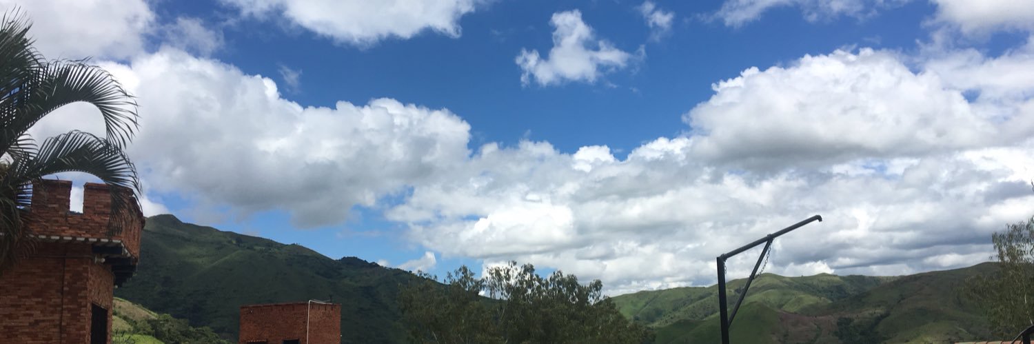 RonLabrador's profile banner image