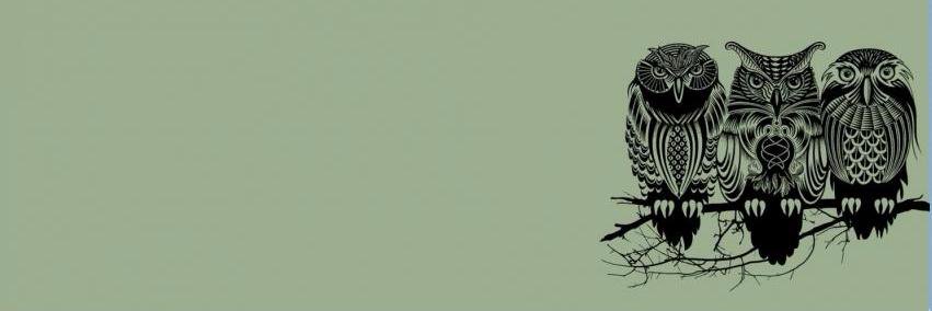 Chafik BR OTE banner