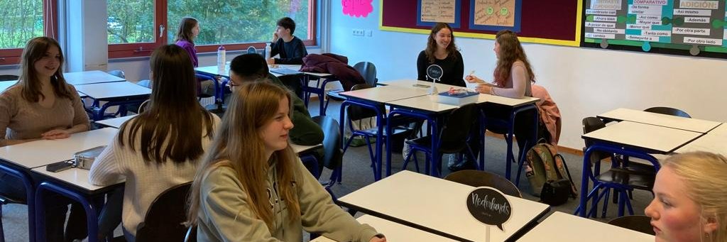 BSN Modern Languages banner