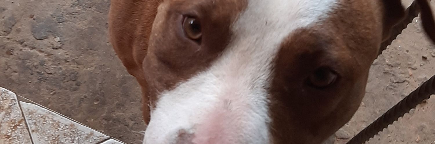 MoremiLerato's profile banner image