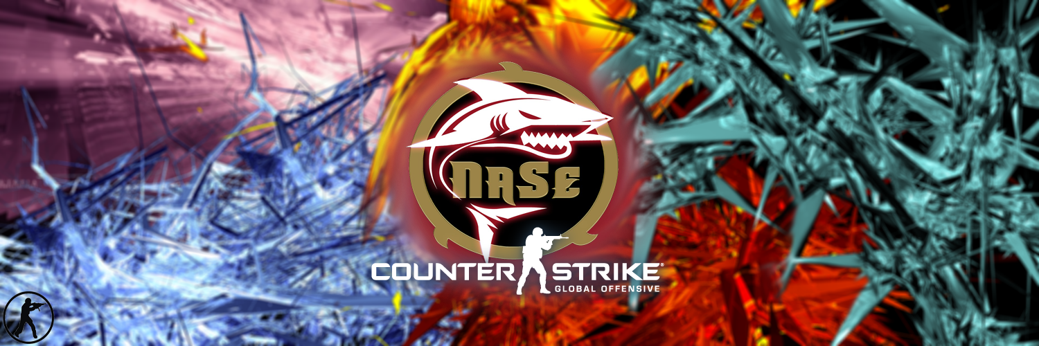 NASE_CSGO's profile banner image