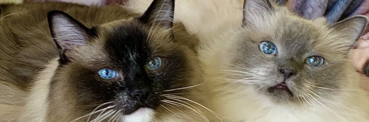 Roon1965's profile banner image