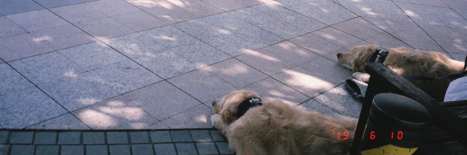 ikuko0793's profile banner image