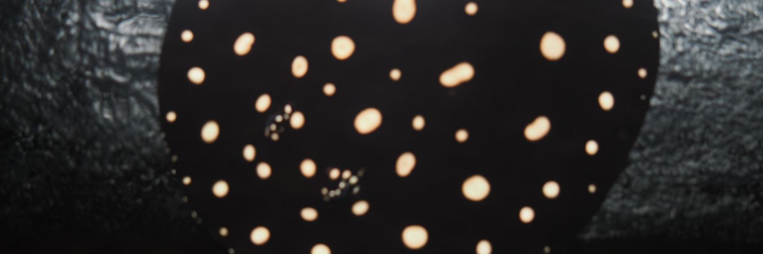 zrock's profile banner image