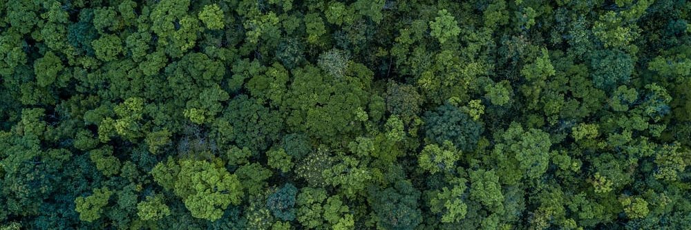 Grunver Sostenibilidad banner