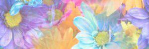 MaaaaainkO's profile banner image