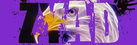 Zyad4Gamer banner