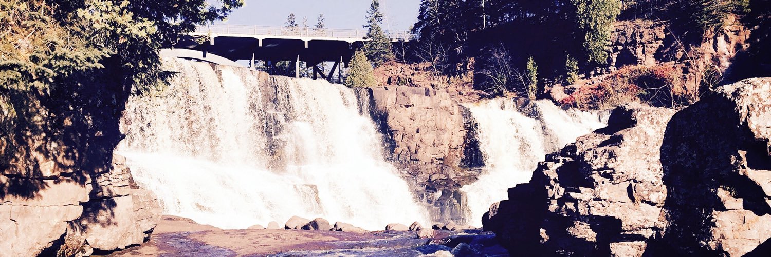 Jeff Hamann banner
