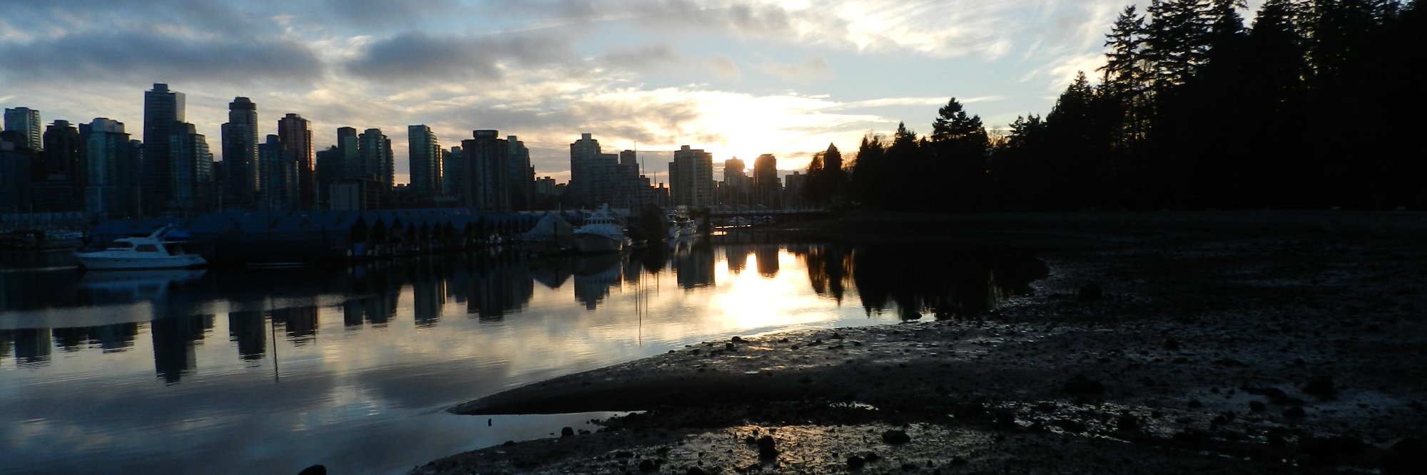 Sandra Forbes banner