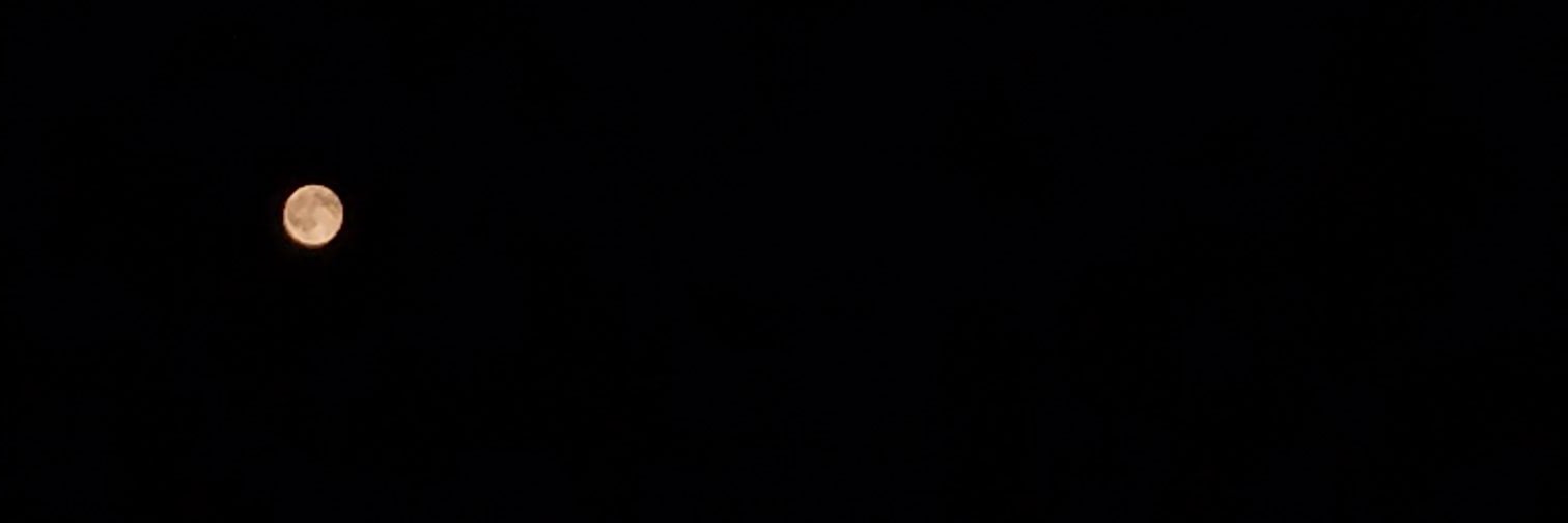meetzwanderlust's profile banner image