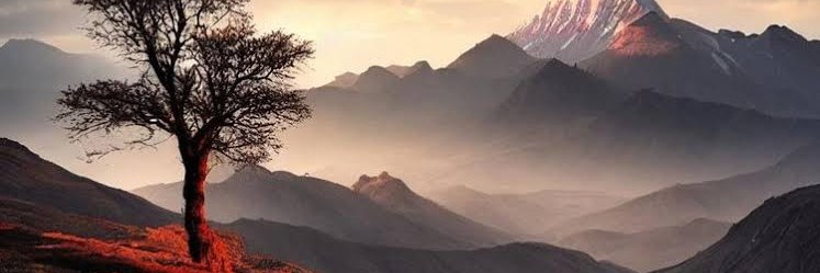zailankorip's profile banner image
