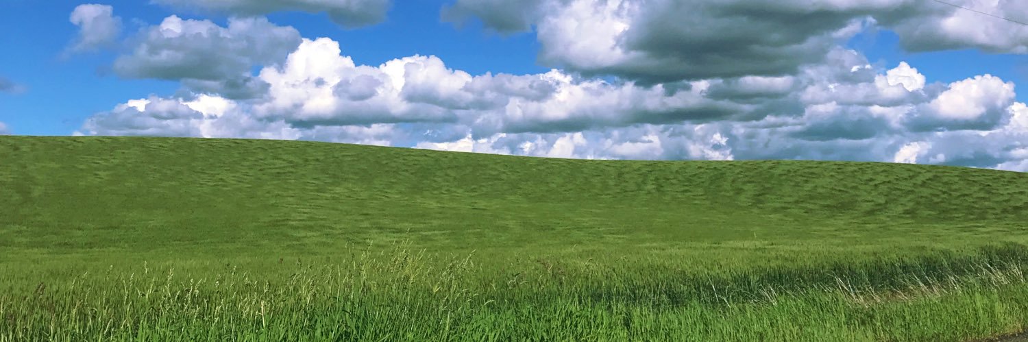 MeganFertakis's profile banner image