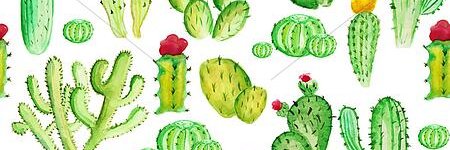 Cactus Ranch Library banner