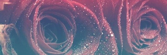 Sqvc__'s profile banner image