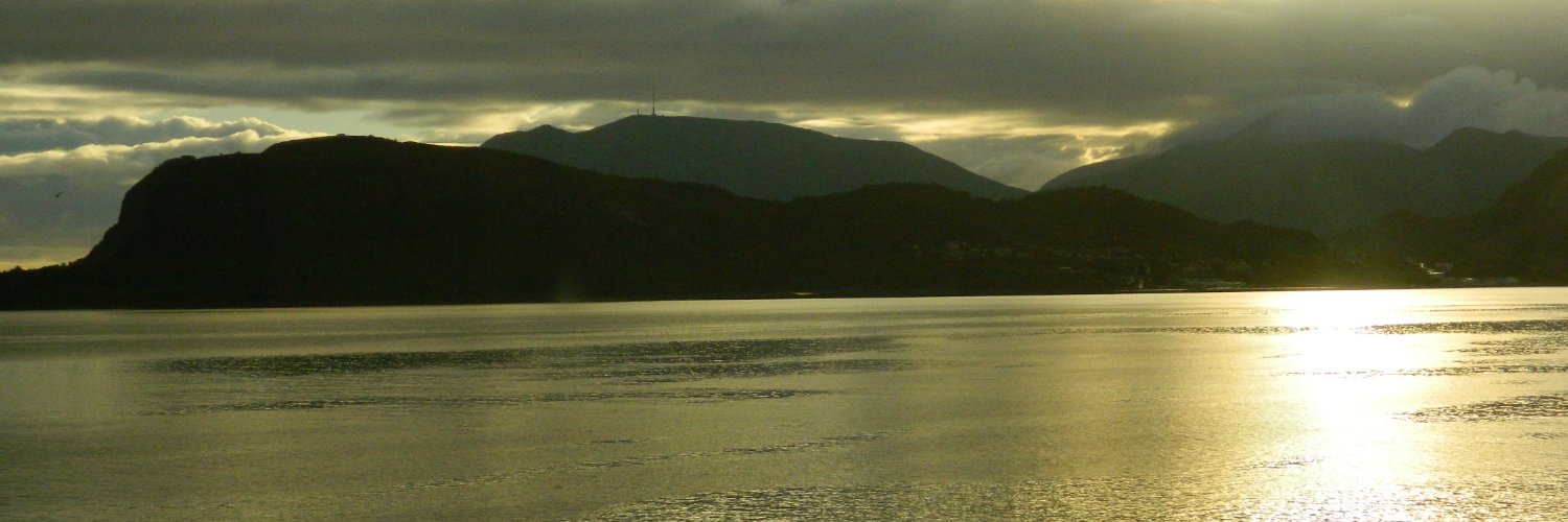 ShafaliShafali's profile banner image