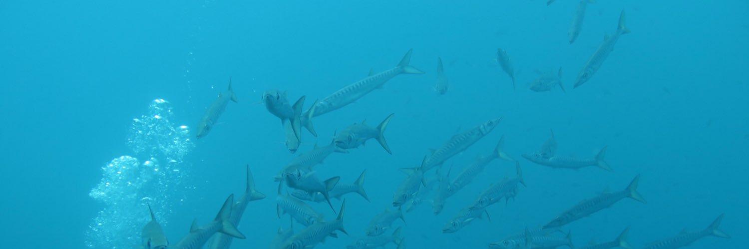 rgraeflin's profile banner image