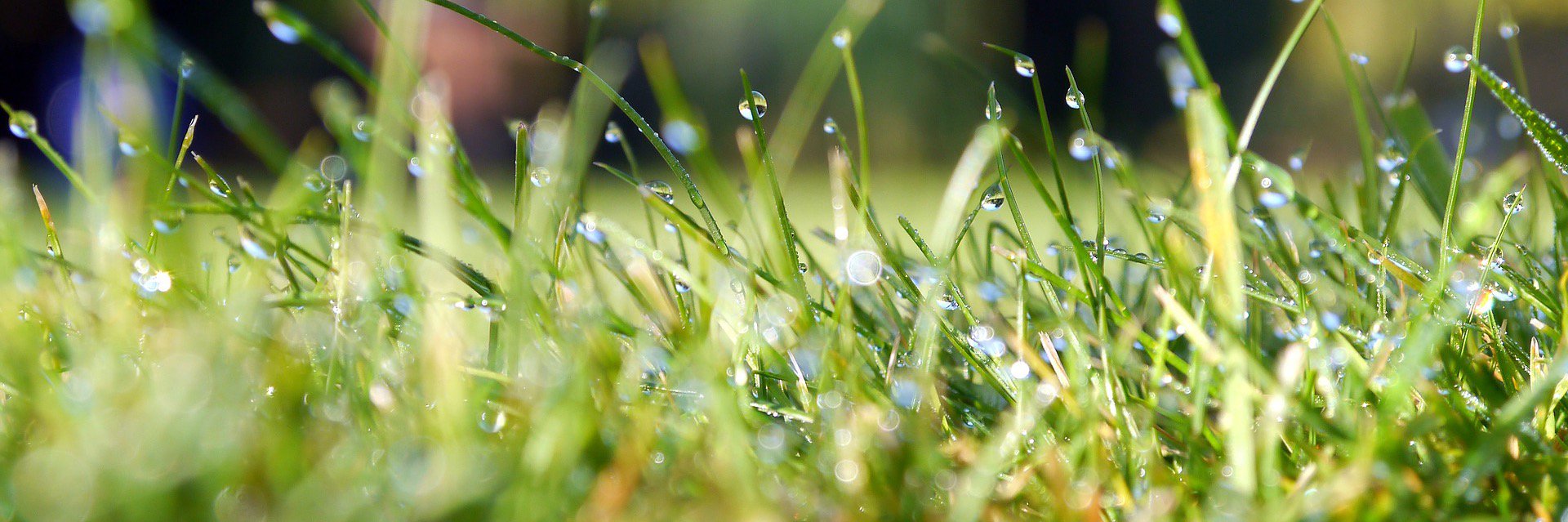 AquaSmartPro's profile banner image