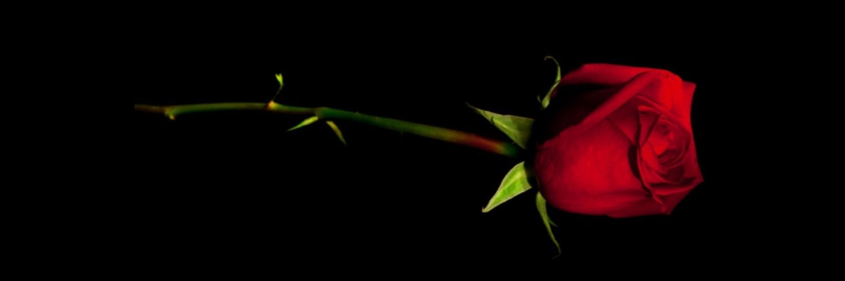 Emi😈 banner