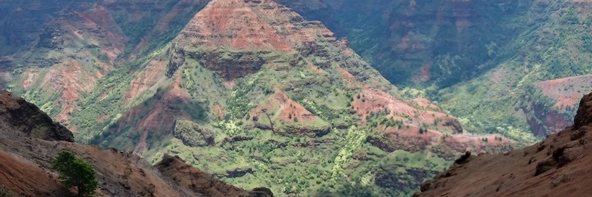 jasaejasae1's profile banner image