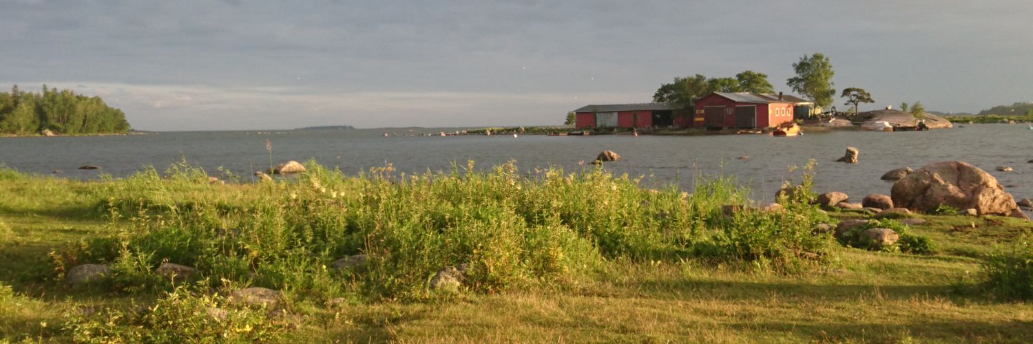 L_Kilpi's profile banner image