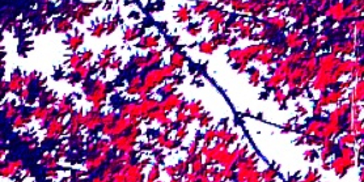 ElleS_21's profile banner image