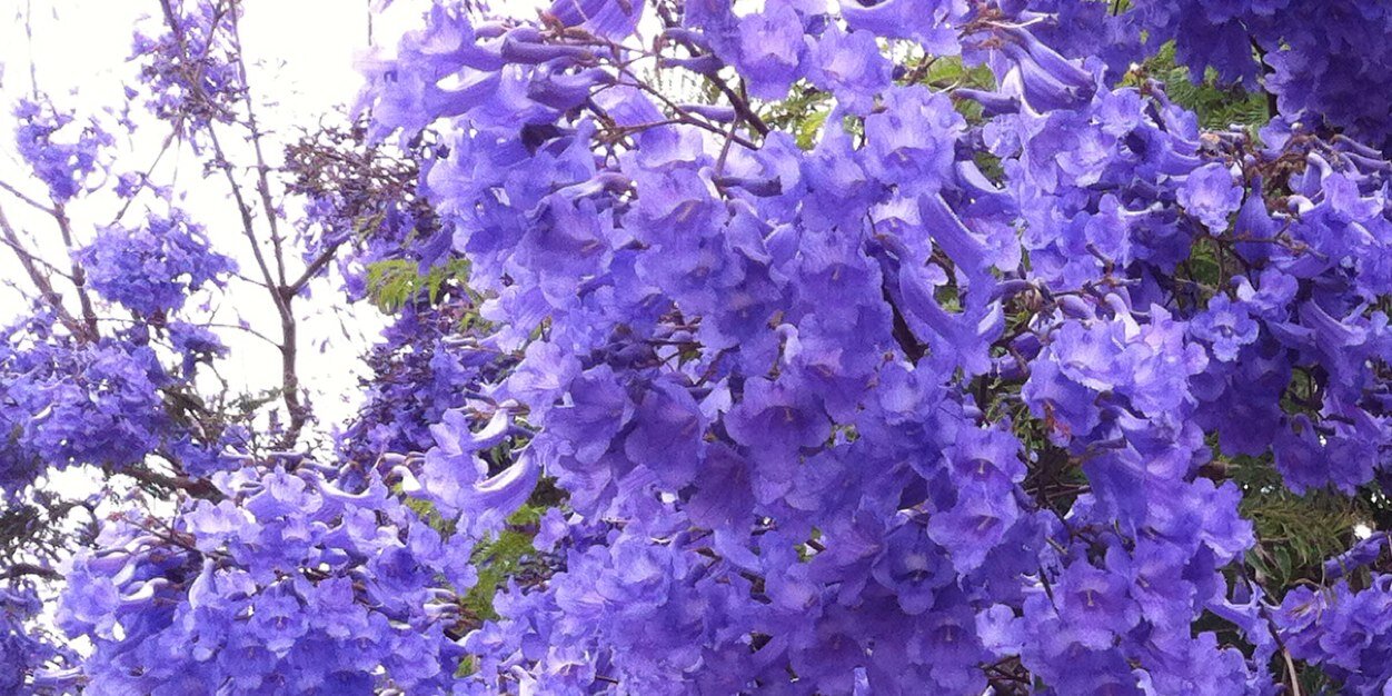 natcorrios's profile banner image