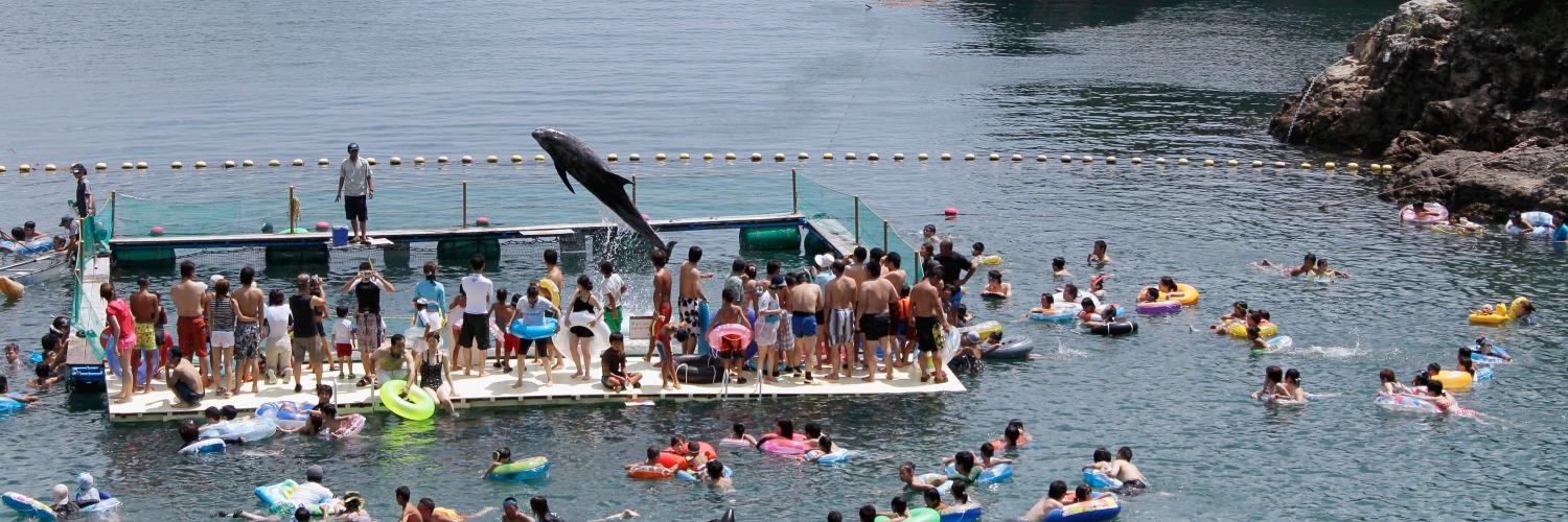 Tweet4Taiji's profile banner image