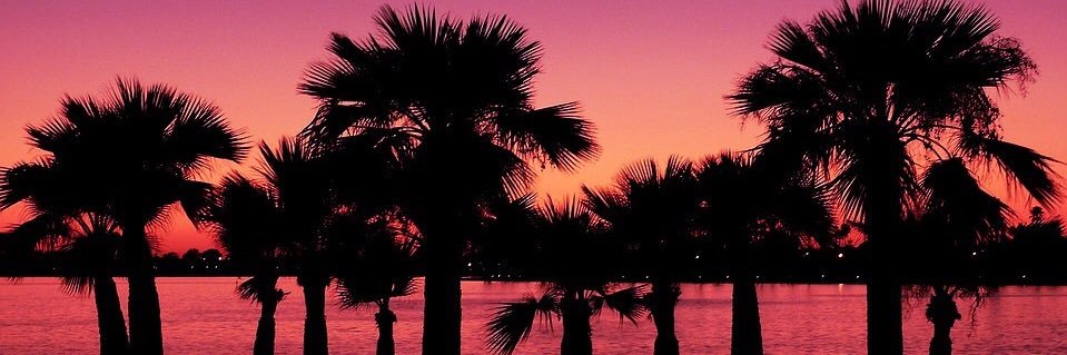 andrearecrem's profile banner image