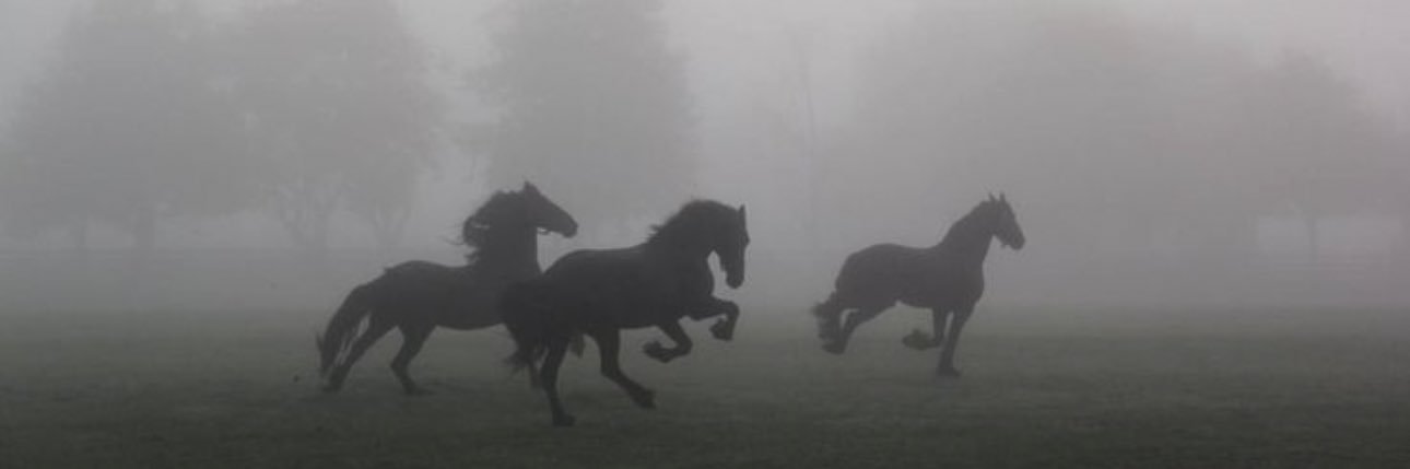 Mahrrae's profile banner image