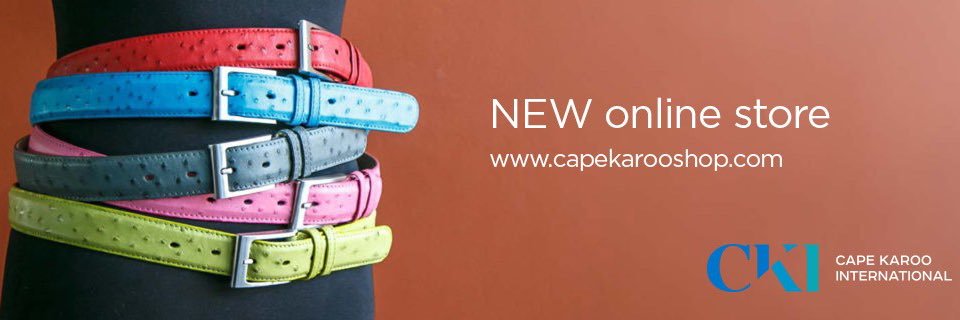 CapeKarooInt's profile banner image