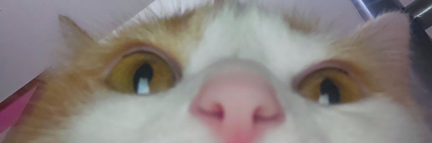 diasmii_'s profile banner image