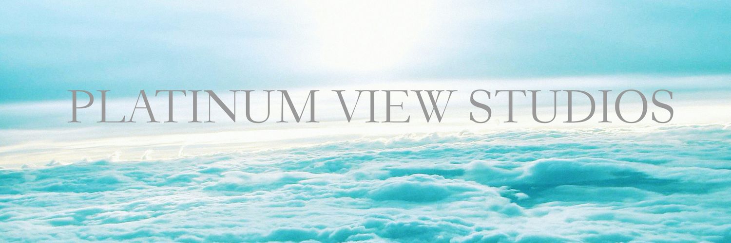 Platinum View Studio (@platinum_view) / Posts / X
