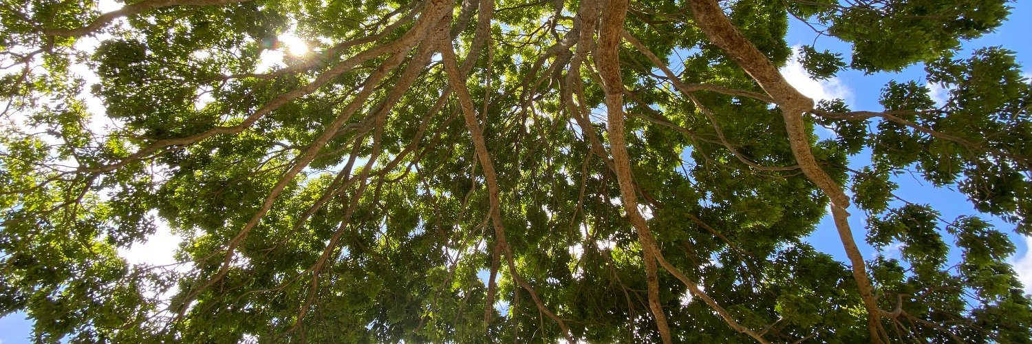 Ruberto Paulo banner